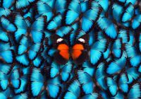 Unique hotel experiences around the world